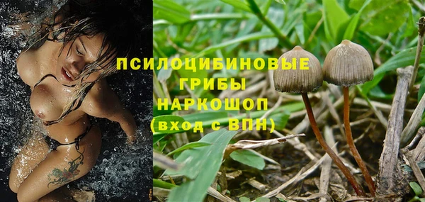 дмт Балабаново