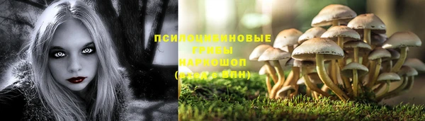 шишки Баксан