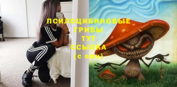шишки Баксан