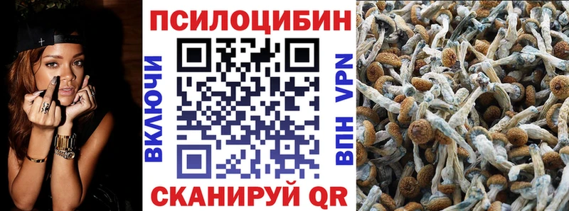 Псилоцибиновые грибы мухоморы  Свободный 